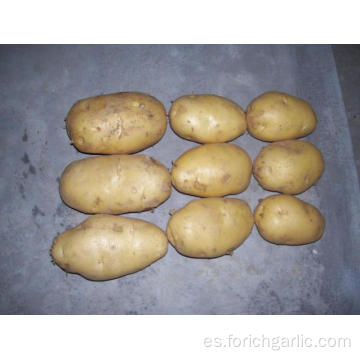 Patata Fresca Amarilla Estándar De Exportación